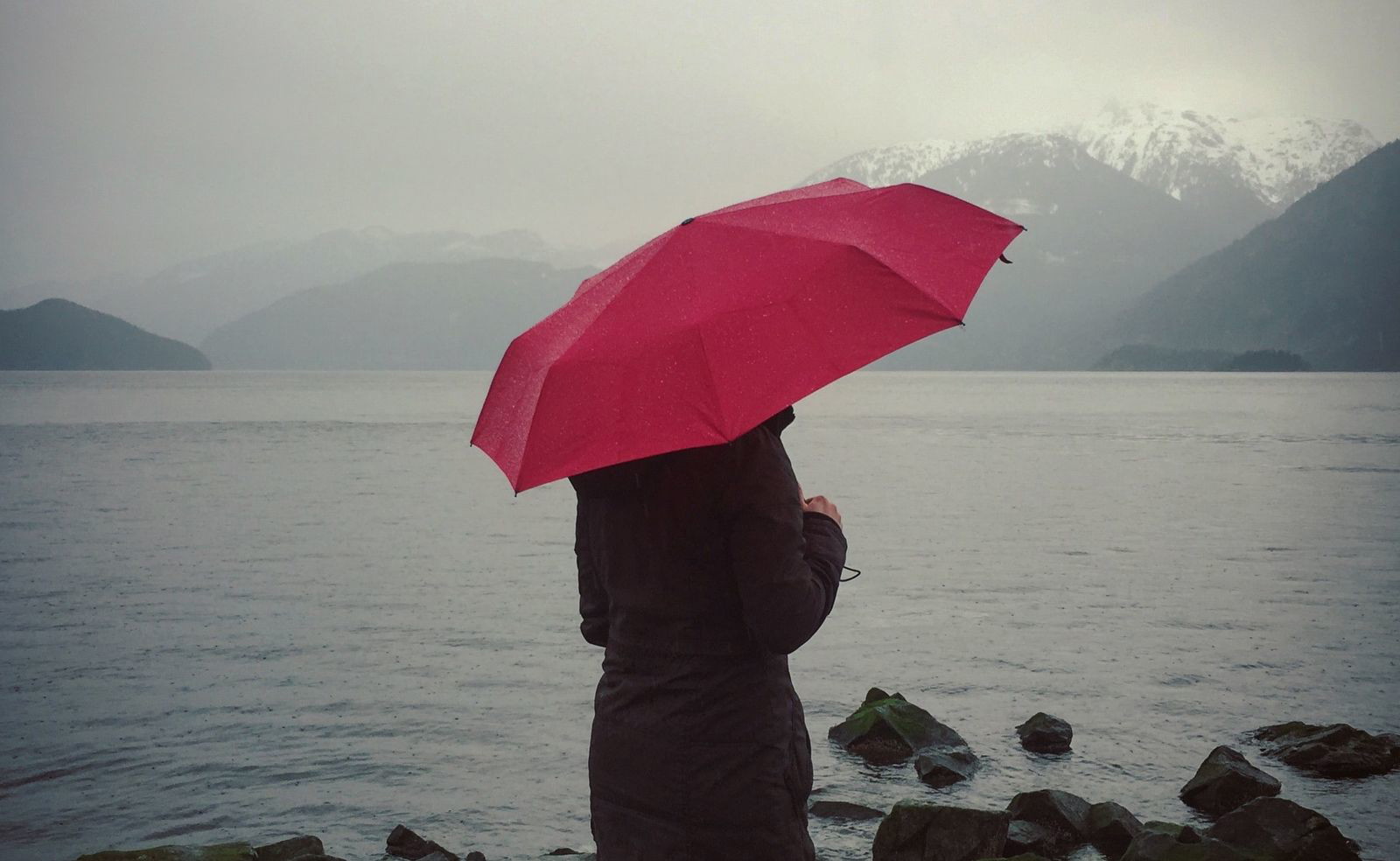 Where to donate to support Sex Workers during COVID-19